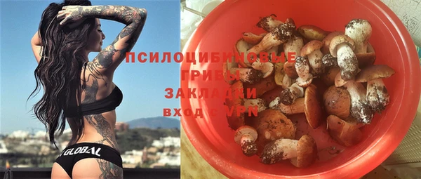 spice Алзамай